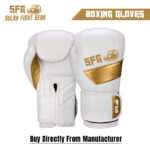 winning boxing gloves